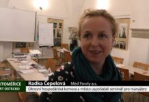 LITOMĚŘICE: Okresní hospodářská komora a město uspořádali seminář pro manažery