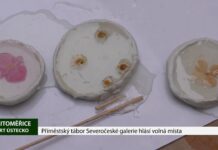 Litoměřice: Příměstský tábor Severočeské galerie hlásí volná místa