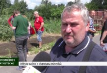 Litoměřice: Město začne s obnovou trávníků