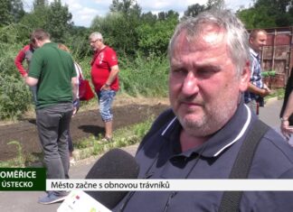 Litoměřice: Město začne s obnovou trávníků