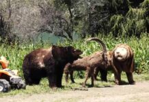 KYRGYZSTÁN – Cestopisný dokument z fotografické expedice
