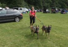 STŘÍŽOVICE: 7. ročník dogtrekkingových závodů opět ve Střížovicích