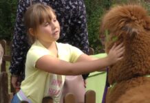 LITOMĚŘICE: Rozmarýn letos nabízí více než 80 kroužků, některé zcela nově