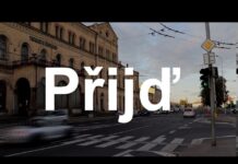 Krajské a senátní volby 2020: VIZE – národní socialisté