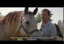 Krajské a senátní volby 2020: SEVEROČEŠI.CZ – Petr Pípal, kandidát na hejtmana