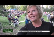 ROUDNICE N. L.: Vinobraní nahradily vydařené Slavnosti vína a burčáku