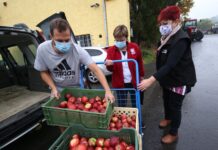 Zemědělské družstvo Klapý darovalo jablka seniorům a pacientům litoměřické nemocnice
