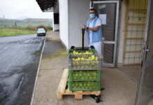 Zemědělské družstvo Klapý opět darovalo nemocnici jablka