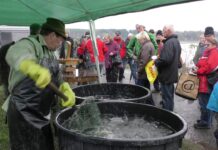 Výlov Chmelaře letos bez prodeje živých ryb i bez občerstvení