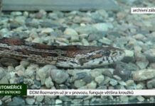 LITOMĚŘICE: DDM Rozmarýn už je v provozu, funguje většina kroužků