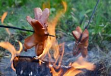 Dům dětí a mládeže Rozmarýn přijímá přihlášky na letní tábor „Vesmírní kadeti“