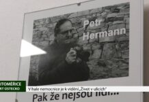 LITOMĚŘICE: V hale nemocnice je k vidění „Život v ulicích“