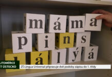 Litoměřice: ZŠ Lingua Universal připravuje dvě podoby zápisu do 1. třídy