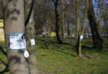 Čarovný les na Střeleckém ostrově je v plném proudu, přijďte si zasoutěžit!