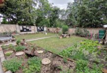 Mondi Štětí otevřelo pátý ročník Environmentální výzvy. V minulém roce podpořilo 17 ekologicky prospěšných projektů