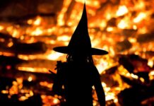 Oslavy Čarodějnic v Litoměřicích nahradí stezka s úkoly – Čarovný les