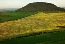 FOTOREPORTÁŽ: Litoměřicko z ptačí perspektivy