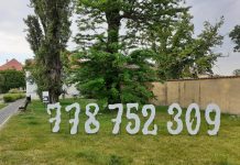 V parku u roudnické galerie čeká na návštěvníky netradiční socha s překvapením