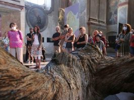 FOTOGALERIE – Z výstavy Zjevení přírody & Salon ASSociace Kubinstadt