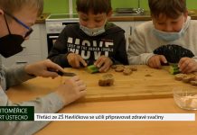 LITOMĚŘICE: Třeťáci ze ZŠ Havlíčkova se učili připravovat zdravé svačiny