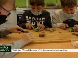 LITOMĚŘICE: Třeťáci ze ZŠ Havlíčkova se učili připravovat zdravé svačiny
