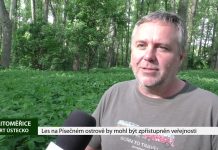 LITOMĚŘICE: Les na Písečném ostrově by mohl být zpřístupněn veřejnosti
