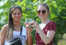 FOTOGALERIE – Vinaři v okolí Malých Žernosek otevřeli sklepy