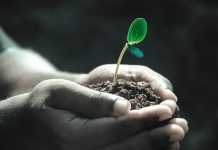 Papírna Mondi Štětí v pátém ročníku Environmentální výzvy podpořila 19 projektů a věnovala jim bezmála půl milionu
