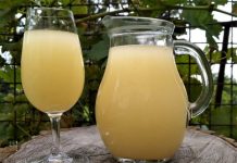 První letošní burčák tuto sobotu u vinařů na Litoměřicku