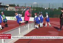HORNÍ POČAPLY: Přípravka a elévové si užívali na florbalovém kempu v Horních Počaplech