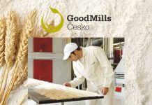 VOLNÁ MÍSTA: Litoměřický mlýn přijme technika v potravinářské výrobě (mlynář)