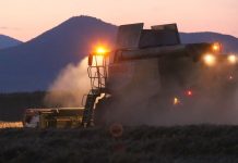 FOTOREPORTÁŽ – Plechové kavalérie sklízí obilí do noci