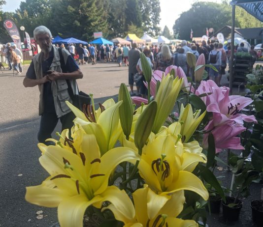 FOTOGALERIE: Začala 45. Zahrada Čech