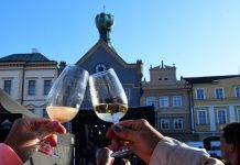 Vinobraní do Litoměřic přinese dopravní omezení. Kde zaparkujete?