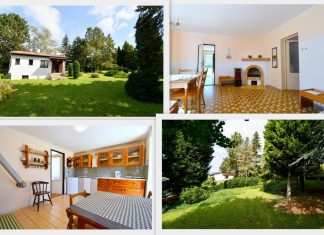 VIDEO – Chalupa s lesoparkem a okrasnou zahradou 3252 m2 Malíč – AUKCE