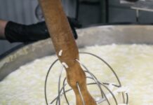 VOLNÁ MÍSTA: Farma Držovice hledá posily