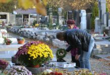 FOTOREPORTÁŽ – Zahrady ticha krásně rozkvetly