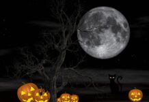 DDM Rozmarýn opět pořádá „Halloweenské putování“