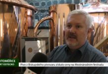 LITOMĚŘICE: Pivo z Biskupského pivovaru získalo ocenění na Mezinárodním festivalu