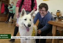 MILEŠOV: Výšlap na Milešovku nahradily soutěže s canisterapeutickými pejsky