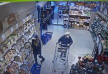 Policie hledá seniorku – svědkyni a tragická nehoda u Račiněvsi