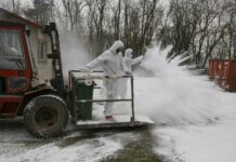 FOTOREPORTÁŽ: Likvidace téměř 180.000 slepic nakažených ptačí chřipkou