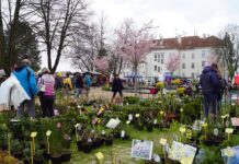 Vstupenky na Tržnici Zahrady Čech už jsou v prodeji