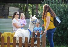 Dům dětí a mládeže Rozmarýn zve na „Den otevřených dveří“