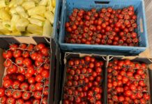 VOLNÁ MÍSTA: Velkoobchod ovoce a zeleniny Lotinar České Kopisty přijme řidiče/ skladníka