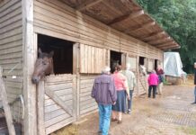 SeneCura Terezín navštívila s klienty Dětskou farmu U Toníka