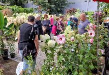 FOTOGALERIE: 46. Zahrada Čech zahájena