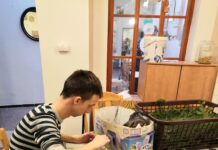 Sociálně terapeutické dílny pořádají Den otevřených dveří