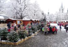 Užijte si zlaté Vánoce s MKZ Litoměřice!