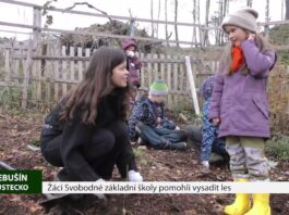 LITOMĚŘICKO: Žáci Svobodné základní školy pomohli vysadit les